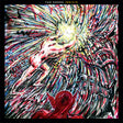 The Dodos - Individ (LP) - Velvet Music
