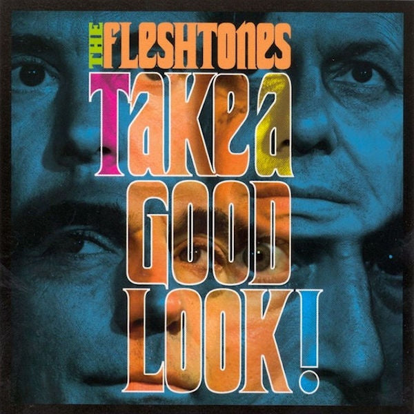 Fleshtones - Take a good look (CD)