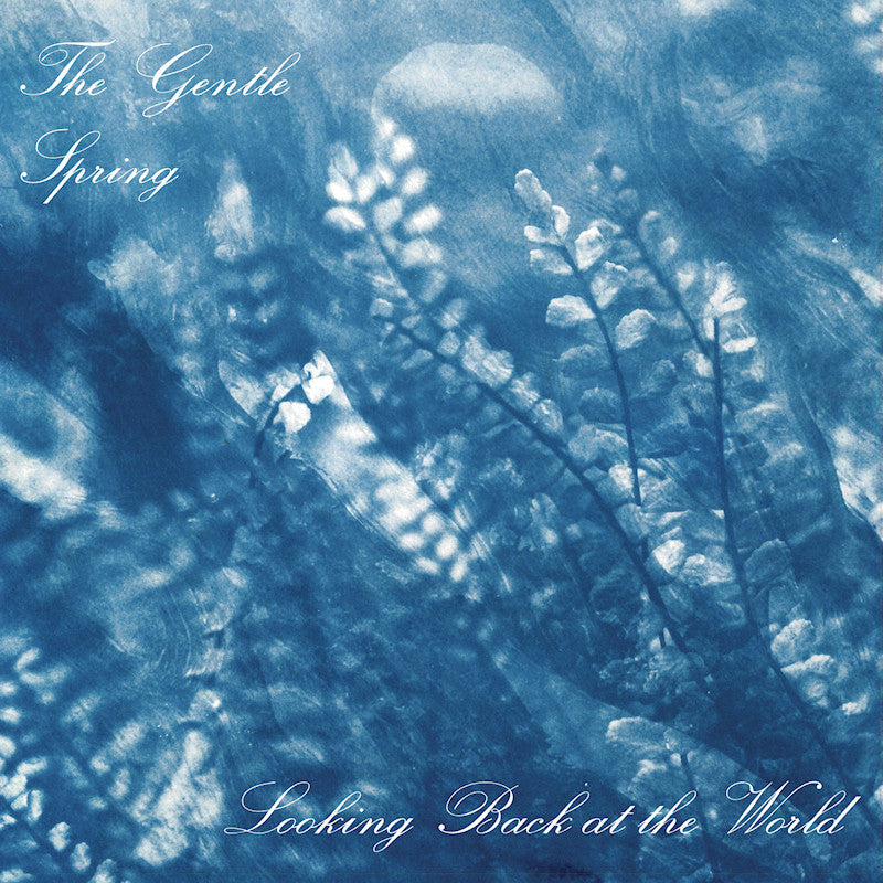 The Gentle Spring - Looking back at the world (LP)