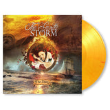 The Gentle Storm - The diary (LP)