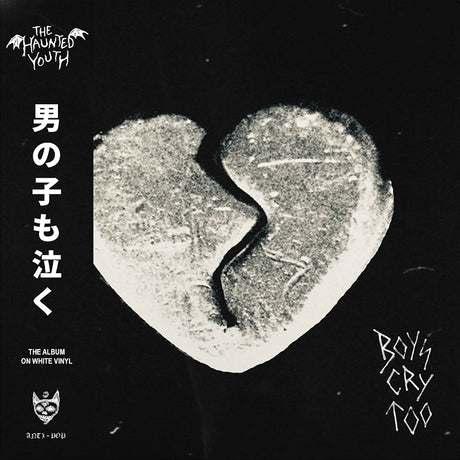 The Haunted Youth - Boys Cry Too (LP) - Velvet Music