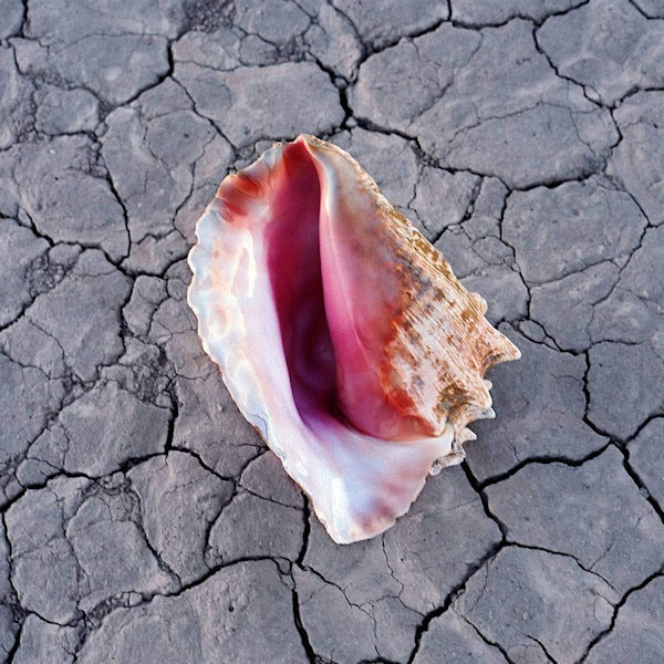 The Killers - Wonderful wonderful -deluxe edition- (CD)