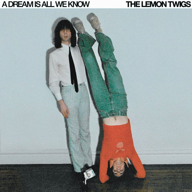 The Lemon Twigs - A dream is all we know (CD) - Velvet Music