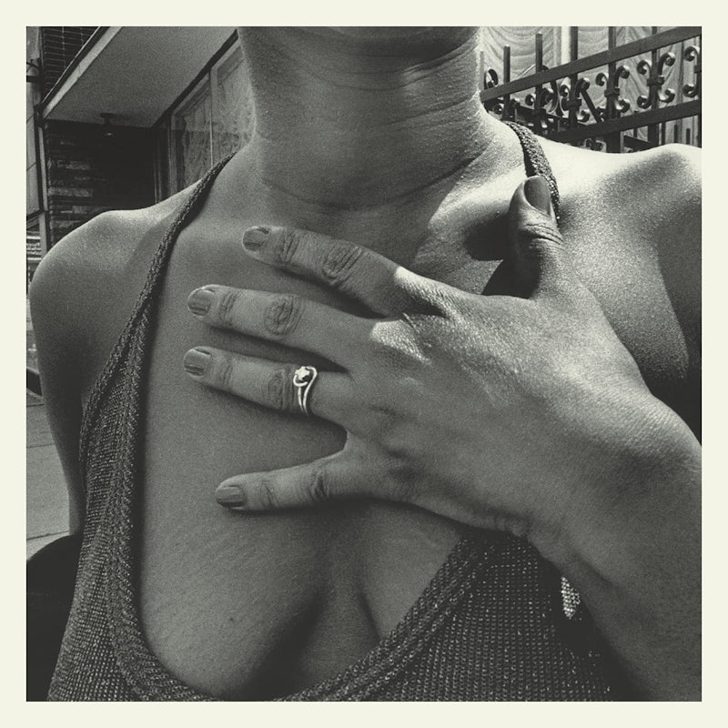 The Menzingers - On the impossible past (LP) - Velvet Music