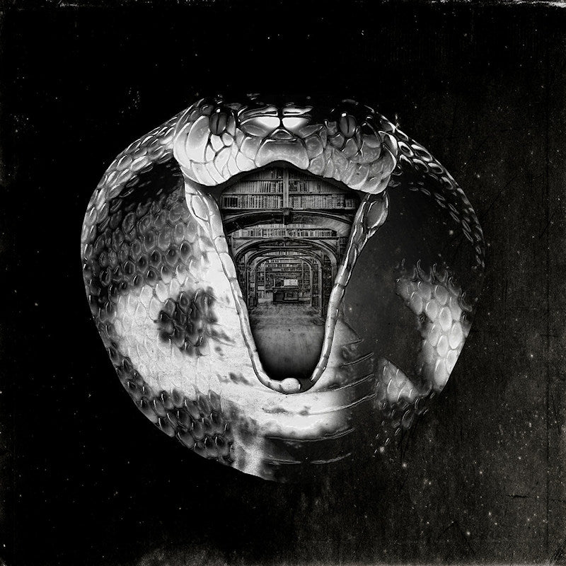 The Mommyheads - Genius killer (LP) - Velvet Music
