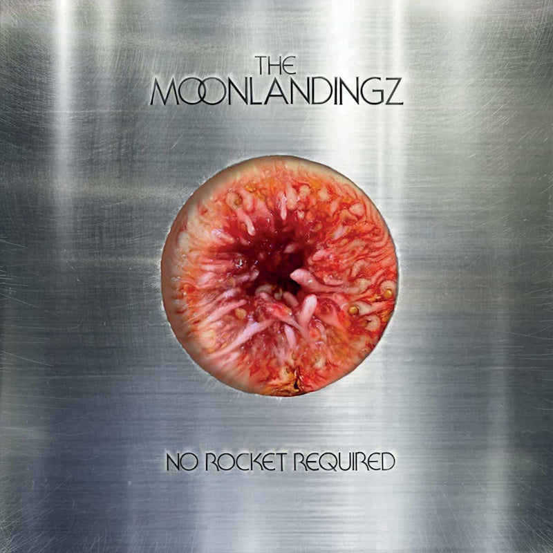 The Moonlandingz - No rocket required (LP)