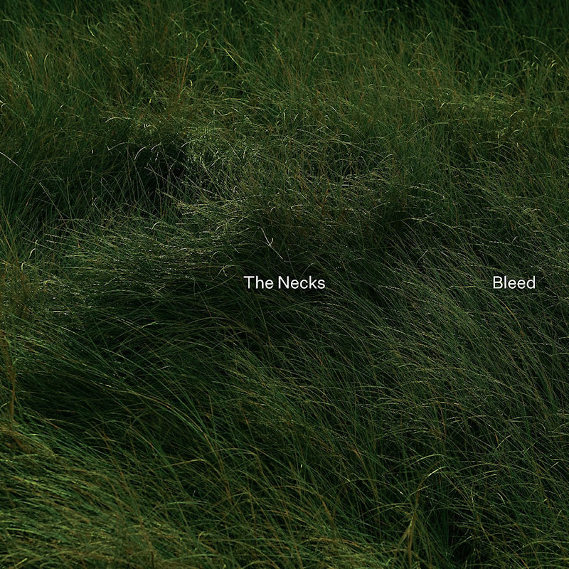 The Necks - Bleed (CD)