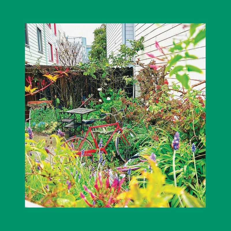 The Reds, Pinks And Purples - Unwishing well (LP)