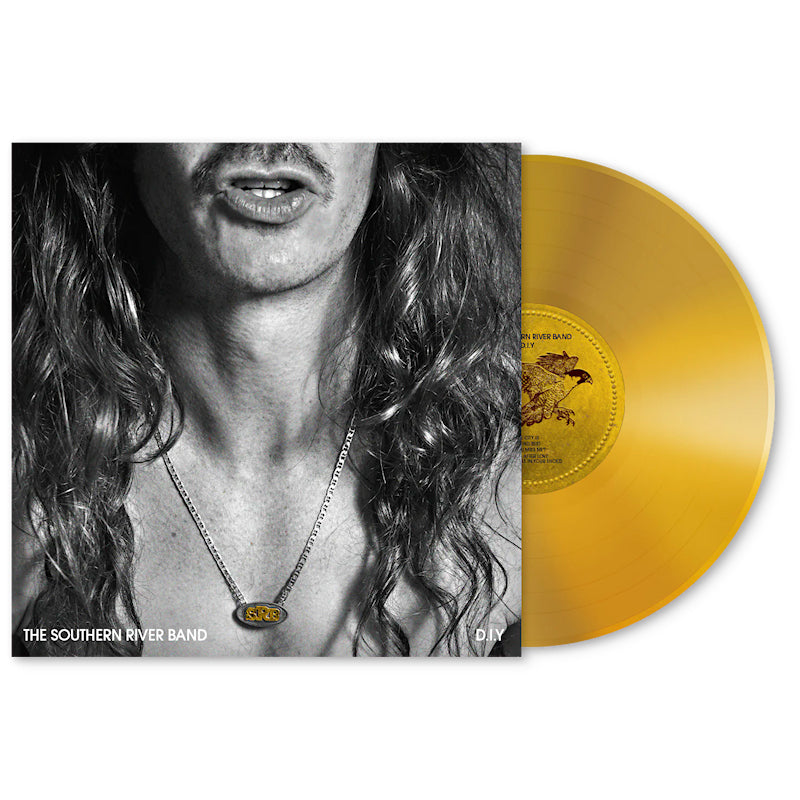The Southern River Band - D.I.Y (LP)