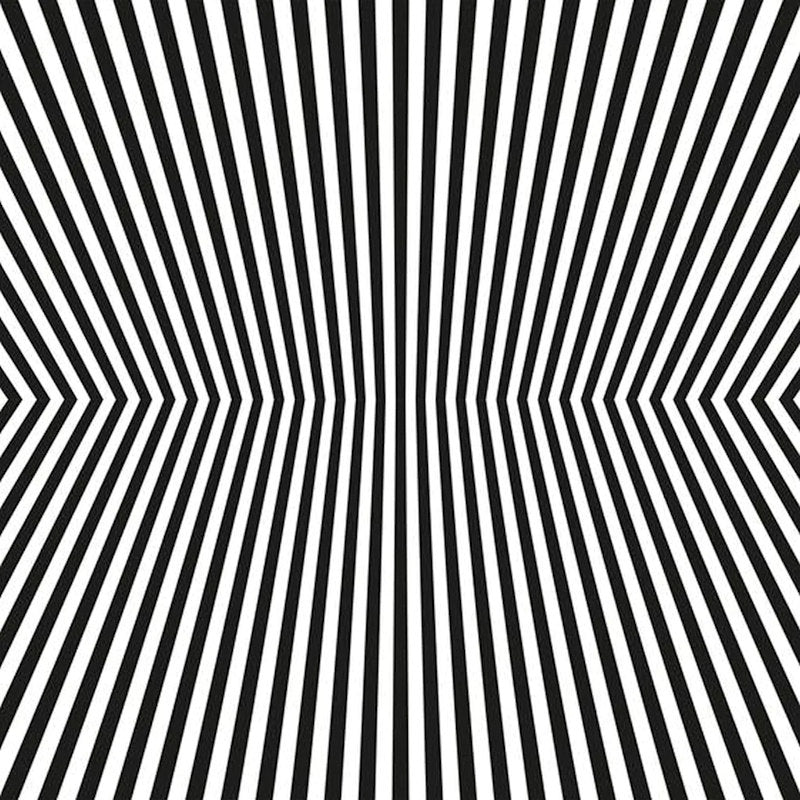 The Vacant Lots - Damage control (CD)
