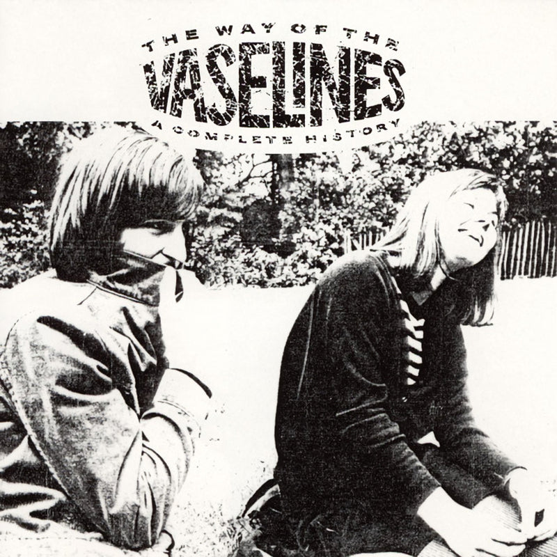 The Vaselines - The way of the vaselines (a complete history) (LP) - Velvet Music