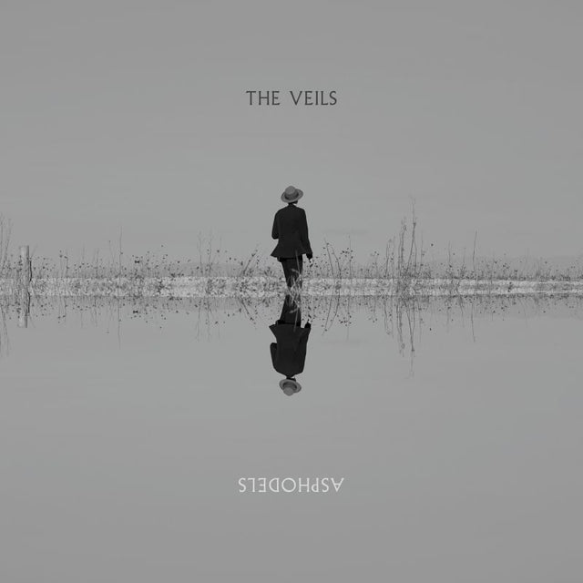 The Veils - Asphodels (LP) - Velvet Music