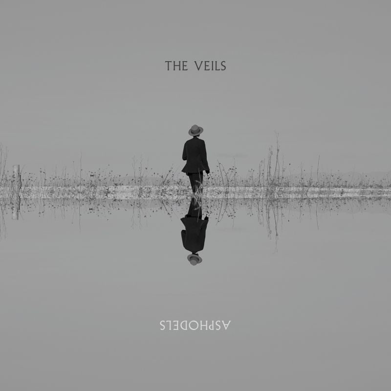 The Veils - Asphodels (LP)