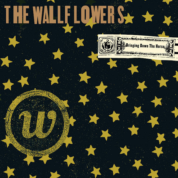 The Wallflowers - Bringing down the house (LP) - Velvet Music