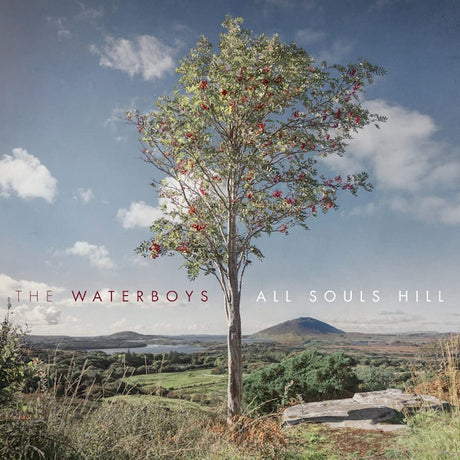 Waterboys - All souls hill (CD) - Velvet Music