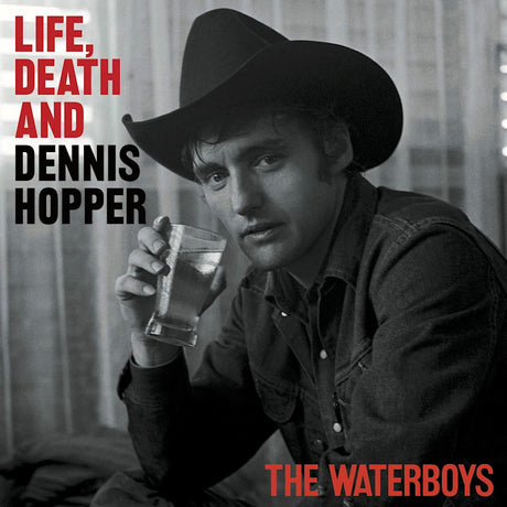 Waterboys - Life, death, & dennis hopper (LP) - Velvet Music