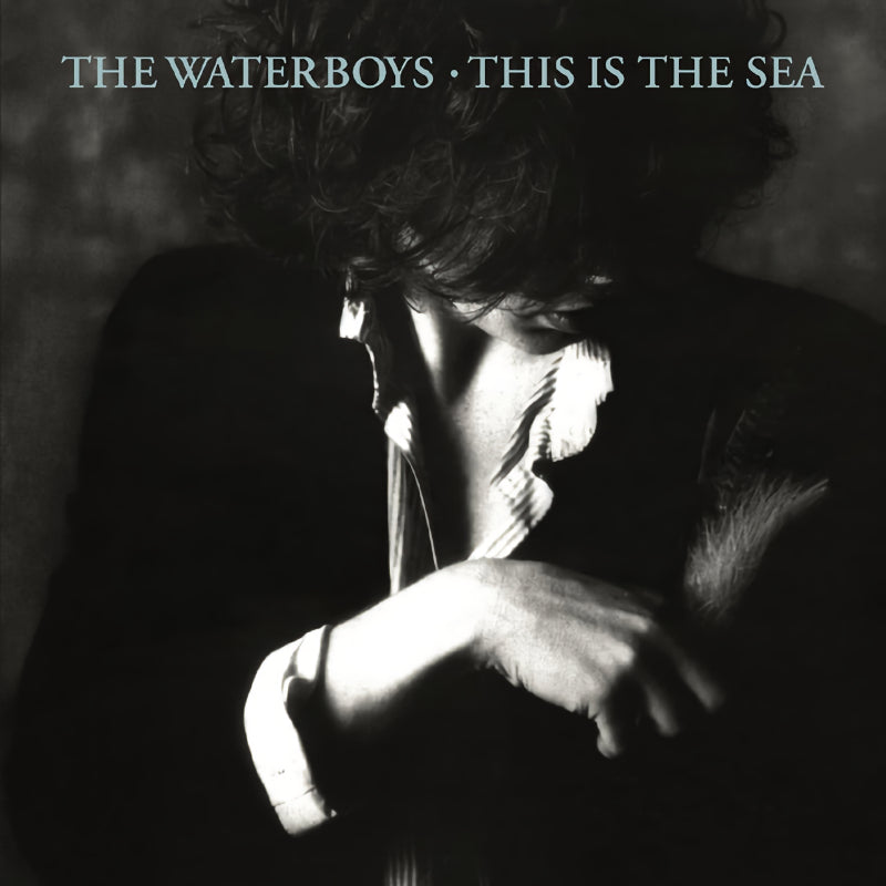 The Waterboys - This is the sea (CD) - Velvet Music