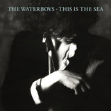 The Waterboys - This is the sea (CD) - Velvet Music