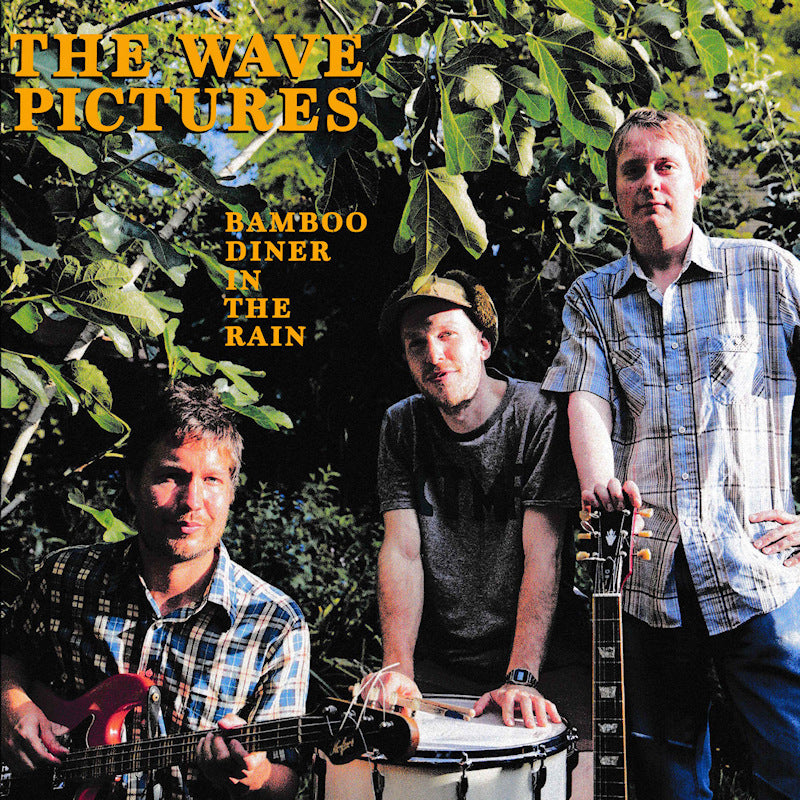 Wave Pictures - Bamboo diner in the rain (CD)