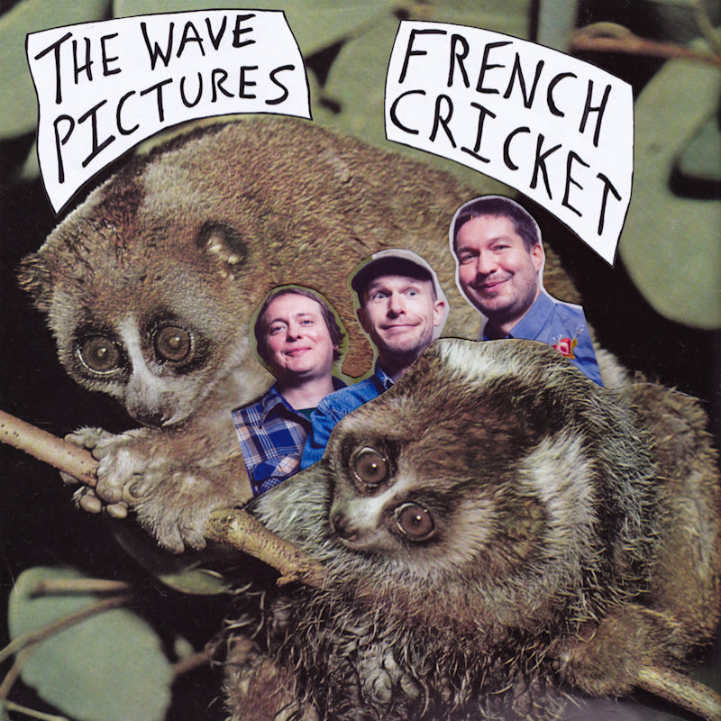 Wave Pictures - French cricket (12-inch maxi-single)