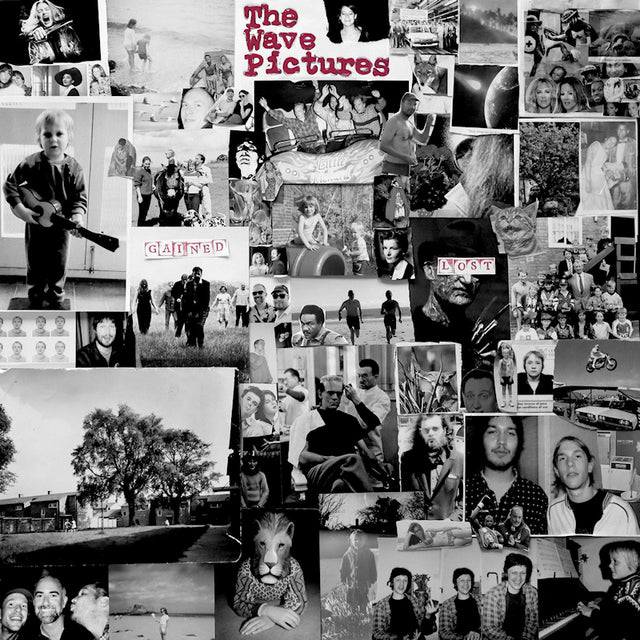 The Wave Pictures - Gained-lost (CD) - Velvet Music