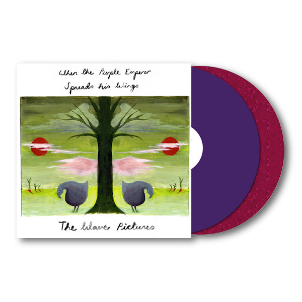 Wave Pictures - When the purple emperor spreads his wings (LP) - Velvet Music