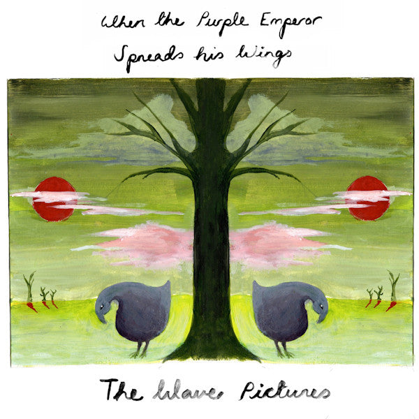 Wave Pictures - When the purple emperor spreads his wings (LP) - Velvet Music