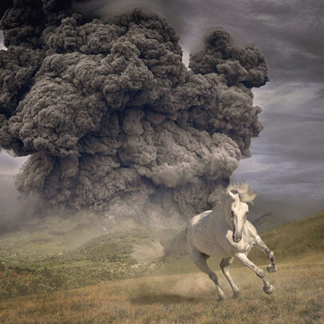 The White Buffalo - Year of the dark horse (LP) - Velvet Music