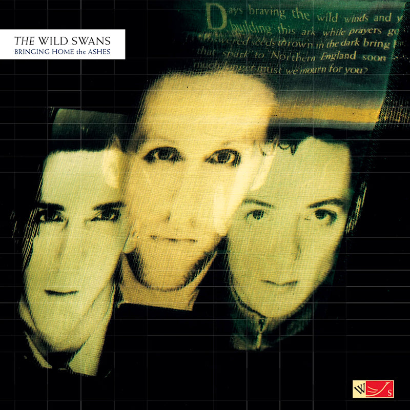 Wild Swans - Bringing home the ashes (LP) - Velvet Music