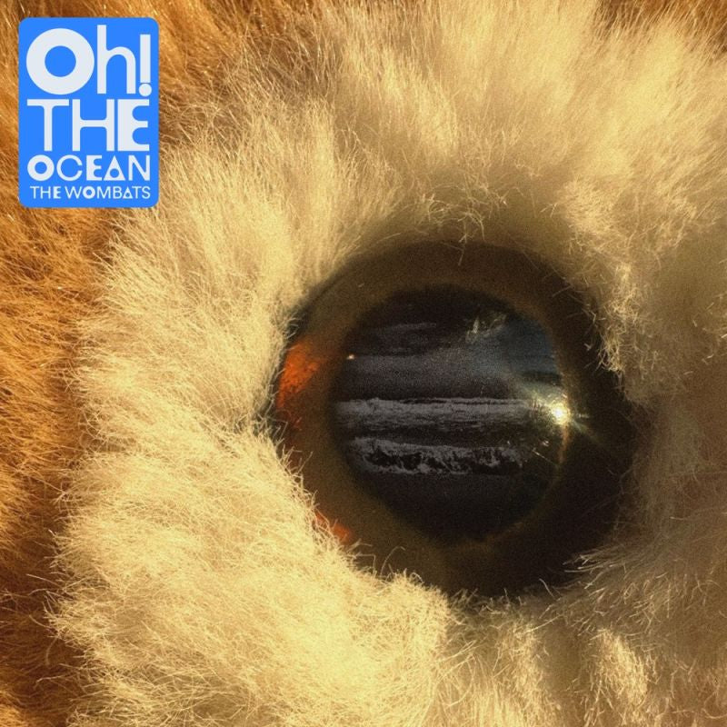 The Wombats - Oh! the ocean (CD)
