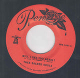 Thee Sacred Souls - Will i see you again? (7-inch single) - Velvet Music