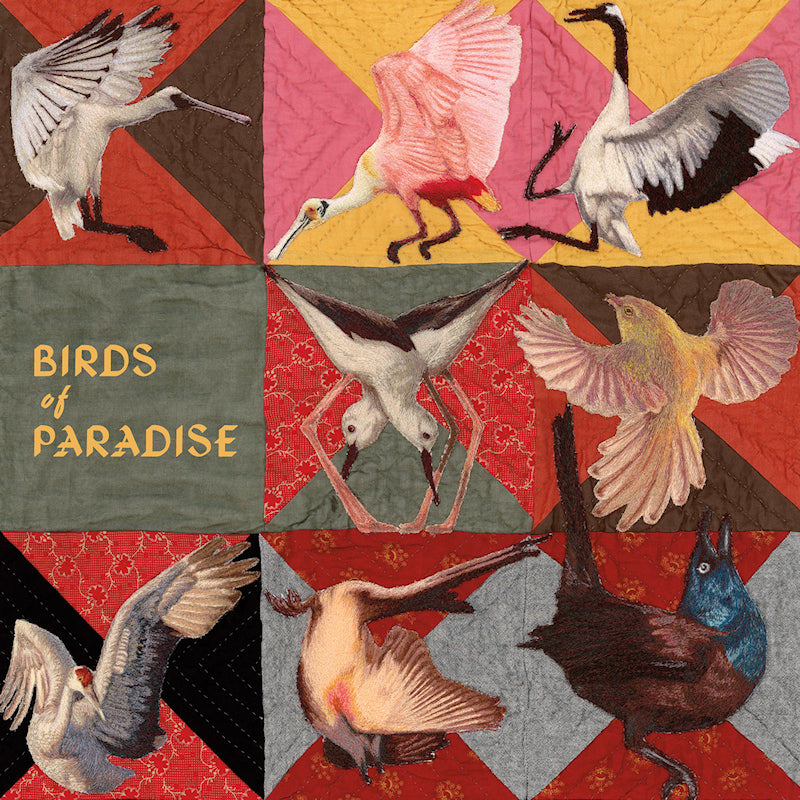 Thomas Dollbaum - Birds of paradise (roseate spoonbill pink) (LP)