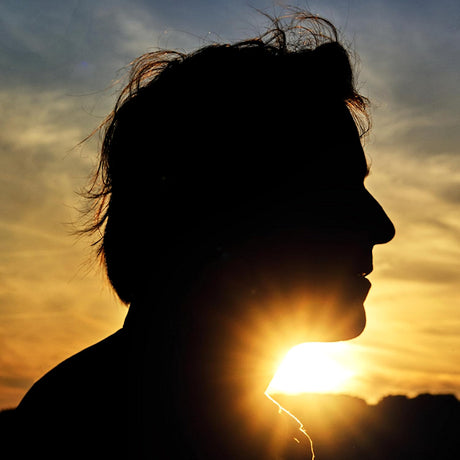 Thomas Dutronc - Il n'est jamais trop tard (LP) - Velvet Music