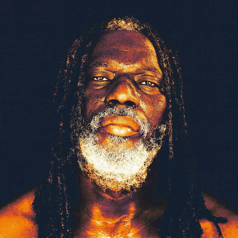 Tiken Jah Fakoly - Braquage de pouvoir (LP) - Velvet Music