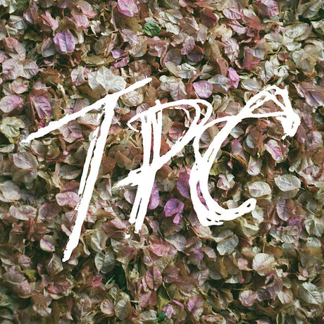 Tokyo Police Club - TPC (LP) - Velvet Music