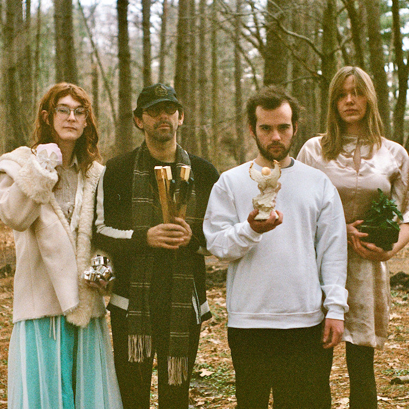 Tomato Flower - No (LP) - Velvet Music