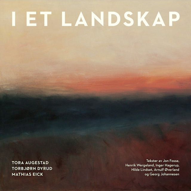Tora Augestad / Torbjorn Dyrud / Mathias Eick - I et landskap (CD) - Velvet Music