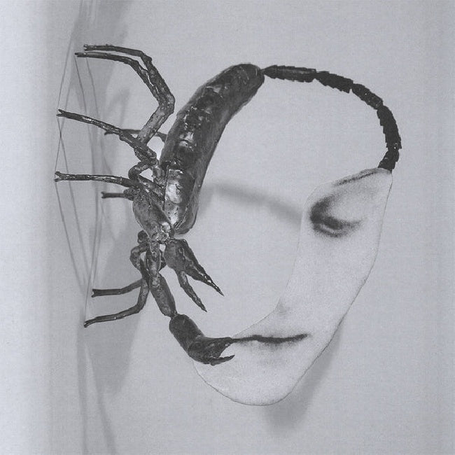 Tortoise - Touch (CD)