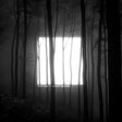 Torzs - Menedek (LP) - Velvet Music