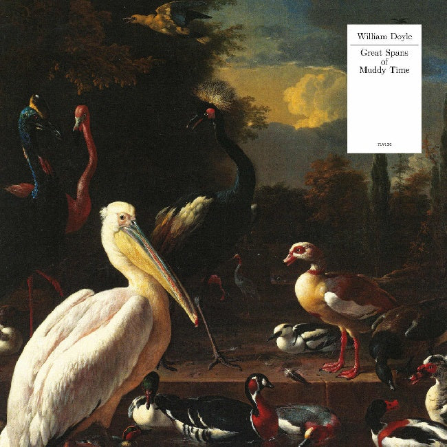 William Doyle - Great spans of muddy time (LP)