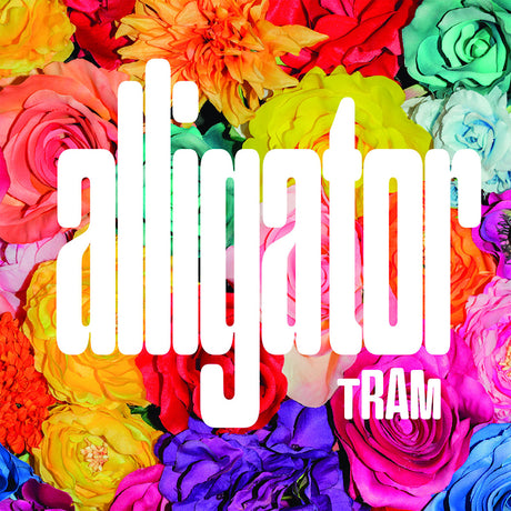 Tram - Alligator (LP) - Velvet Music