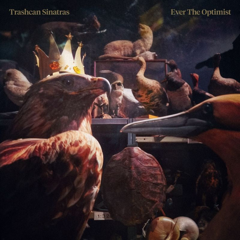 Trashcan Sinatras - Ever the optmist (CD)