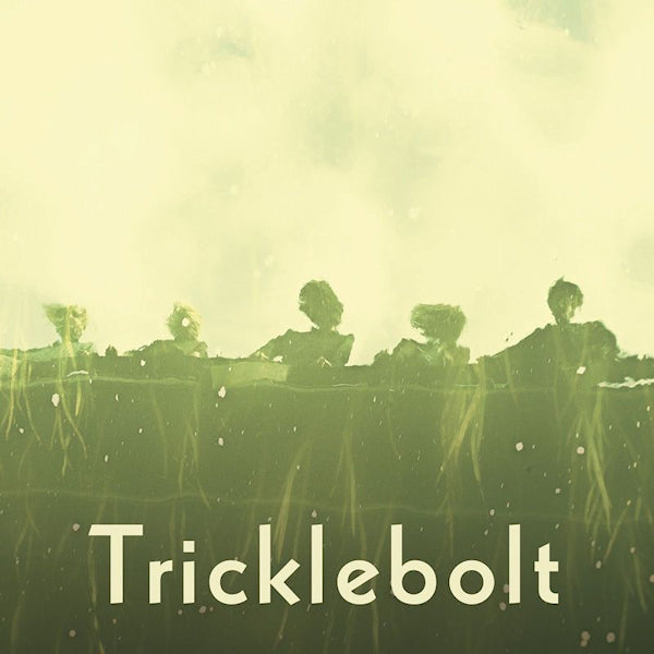 Tricklebolt - Tricklebolt (LP) - Velvet Music