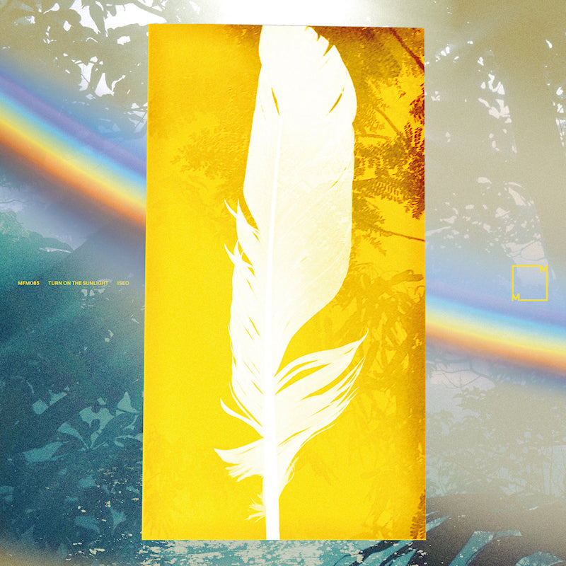 Turn On The Sunlight - Iseo (LP)