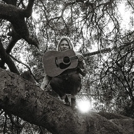 Ty Segall - hello, hi (LP) - Velvet Music