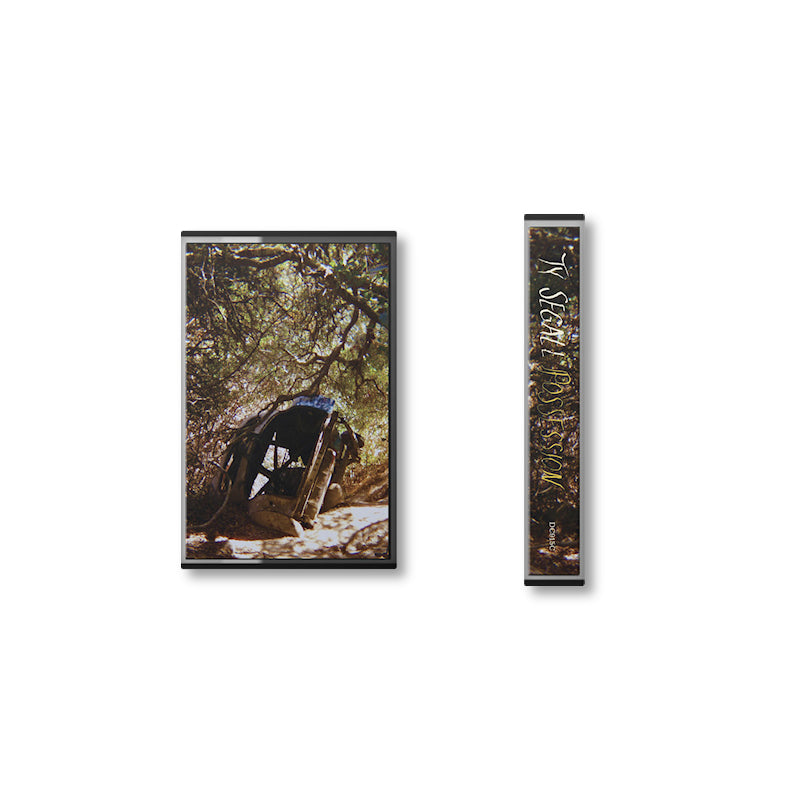 Ty Segall - Possession (muziekcassette) - Velvet Music