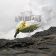 Tyler Ramsey - New lost ages (LP) - Velvet Music