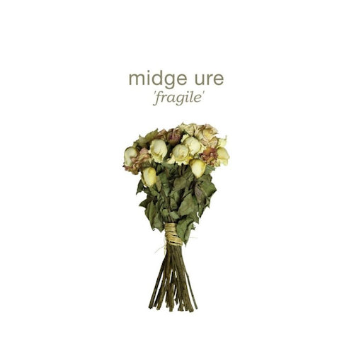 Midge Ure - Fragile (CD) - Velvet Music