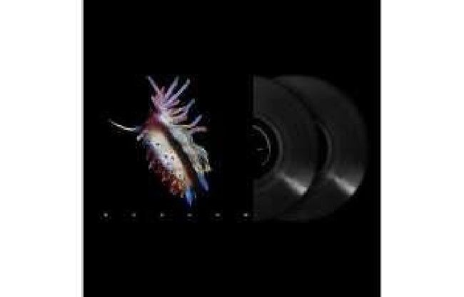 Sub Focus - Evolve (LP) - Velvet Music