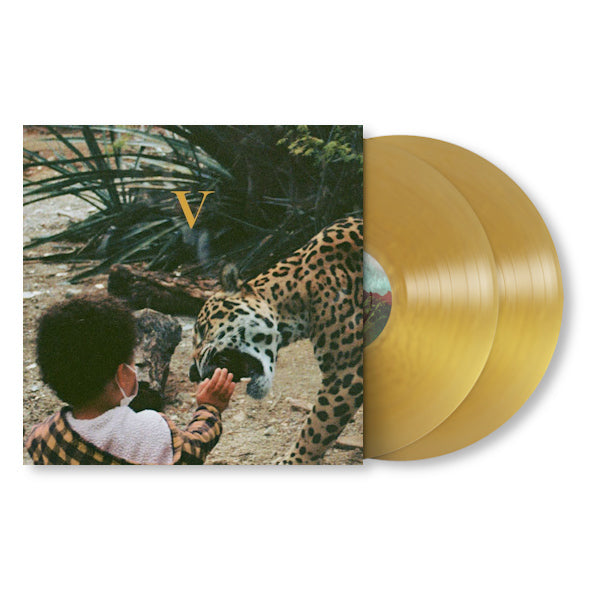 Unknown Mortal Orchestra - V (LP) - Velvet Music